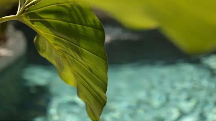 Approach to sustainability